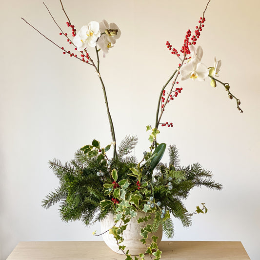 Carmel florist Christmas holiday orchid with ilex berries and holly