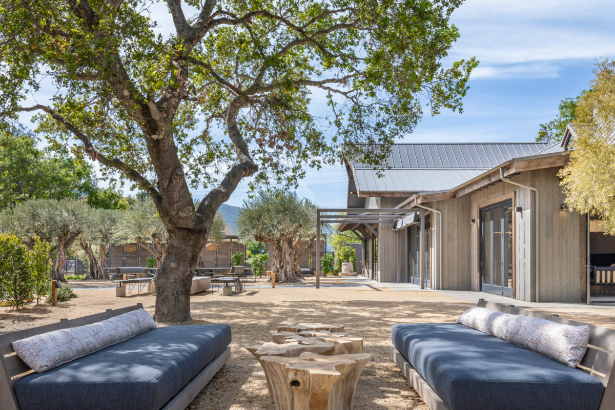 View of the Pelio Estate outdoor tasting space dotted with old growth olive trees and long dining tables with a view of the lush Santa Lucia Mountains